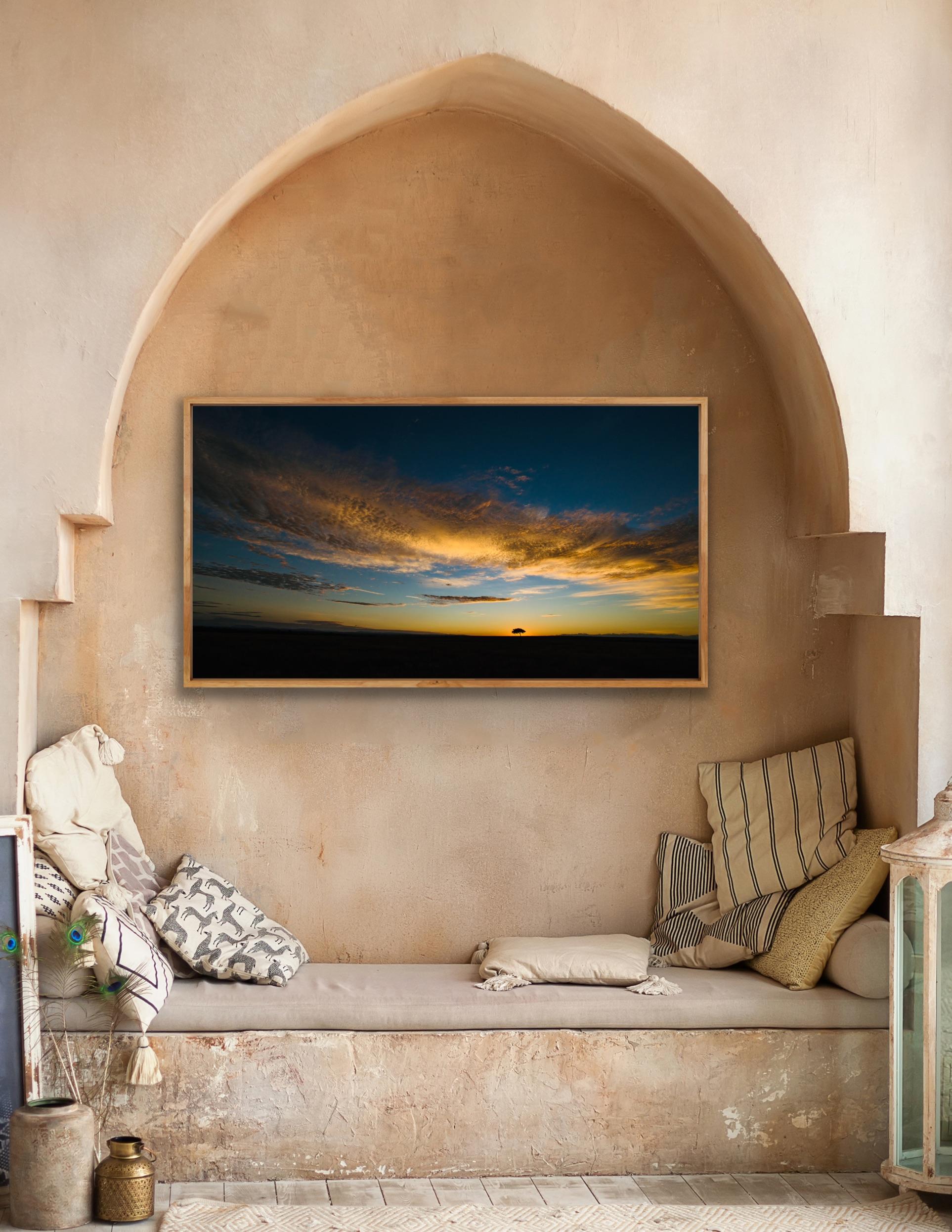Landscape Photograph Nature Big Skies Africa Tree Blue Orange Sunset Wildlife For Sale 3