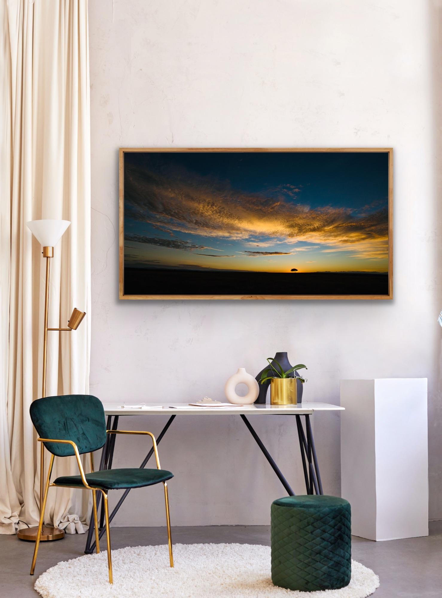Landscape Photograph Nature Big Skies Africa Tree Blue Orange Sunset Wildlife For Sale 4