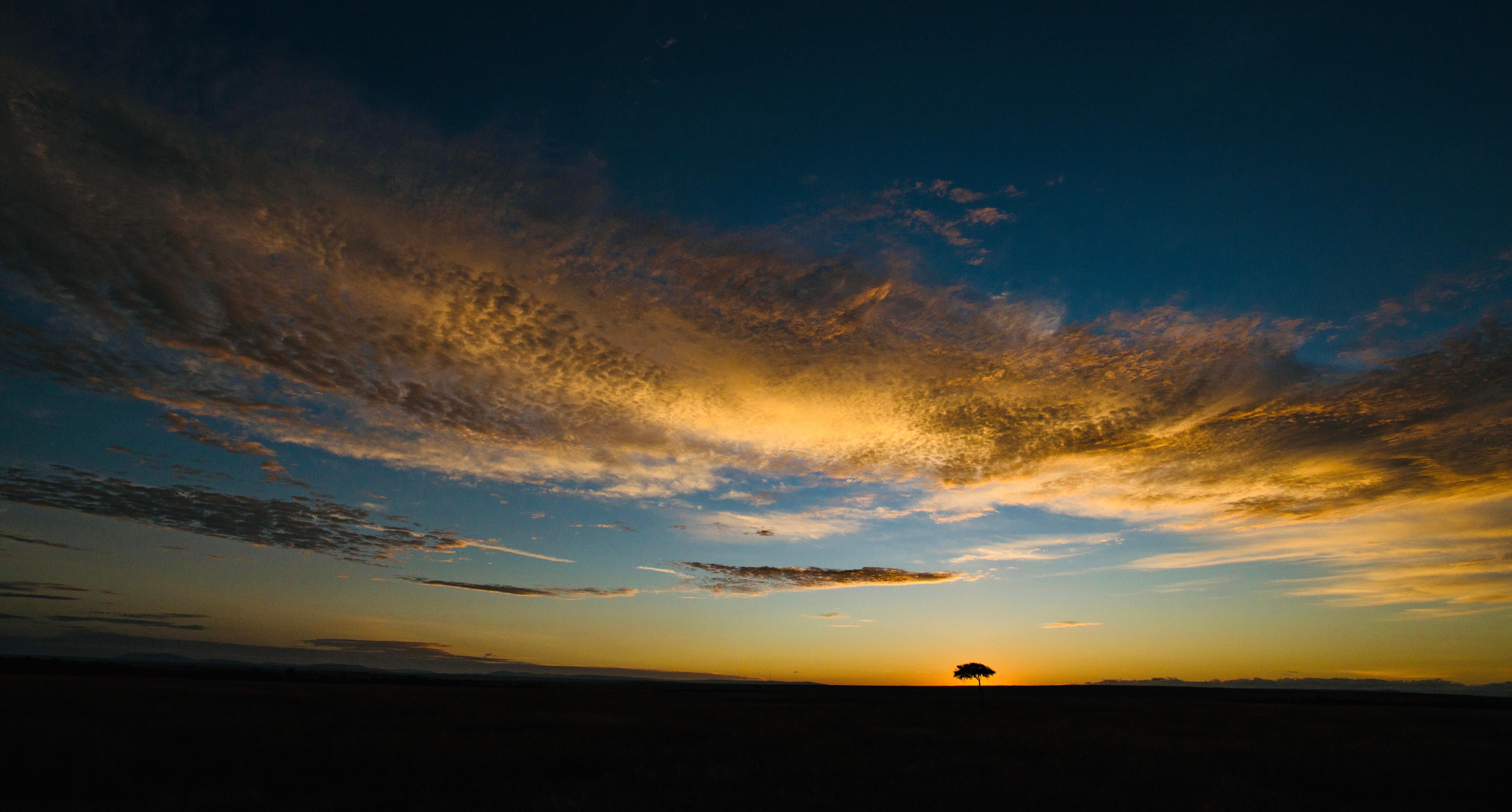 Aditya Dicky Singh Color Photograph - Landscape Photograph Nature Big Skies Africa Tree Blue Orange Sunset Wildlife
