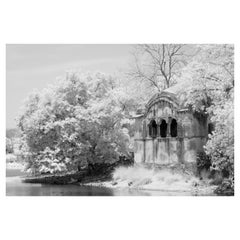 Landscape Photograph Tiger  Nature Large Black White Infrared  India Lake Trees