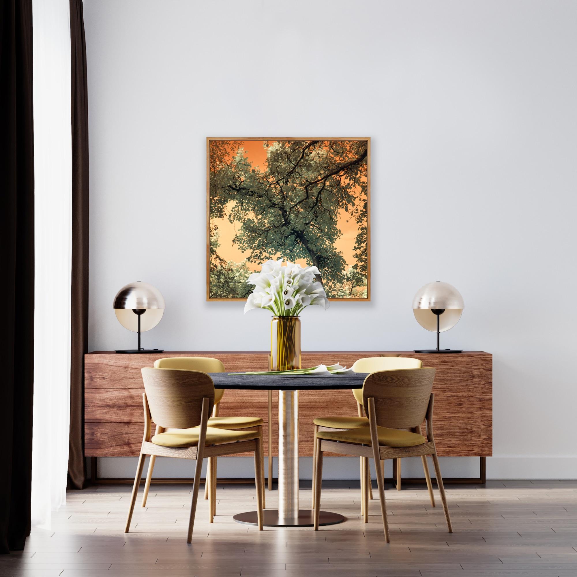 Landscape Tree Nature Wildlife Photograph India Orange Peach Green Sky Leaves For Sale 7