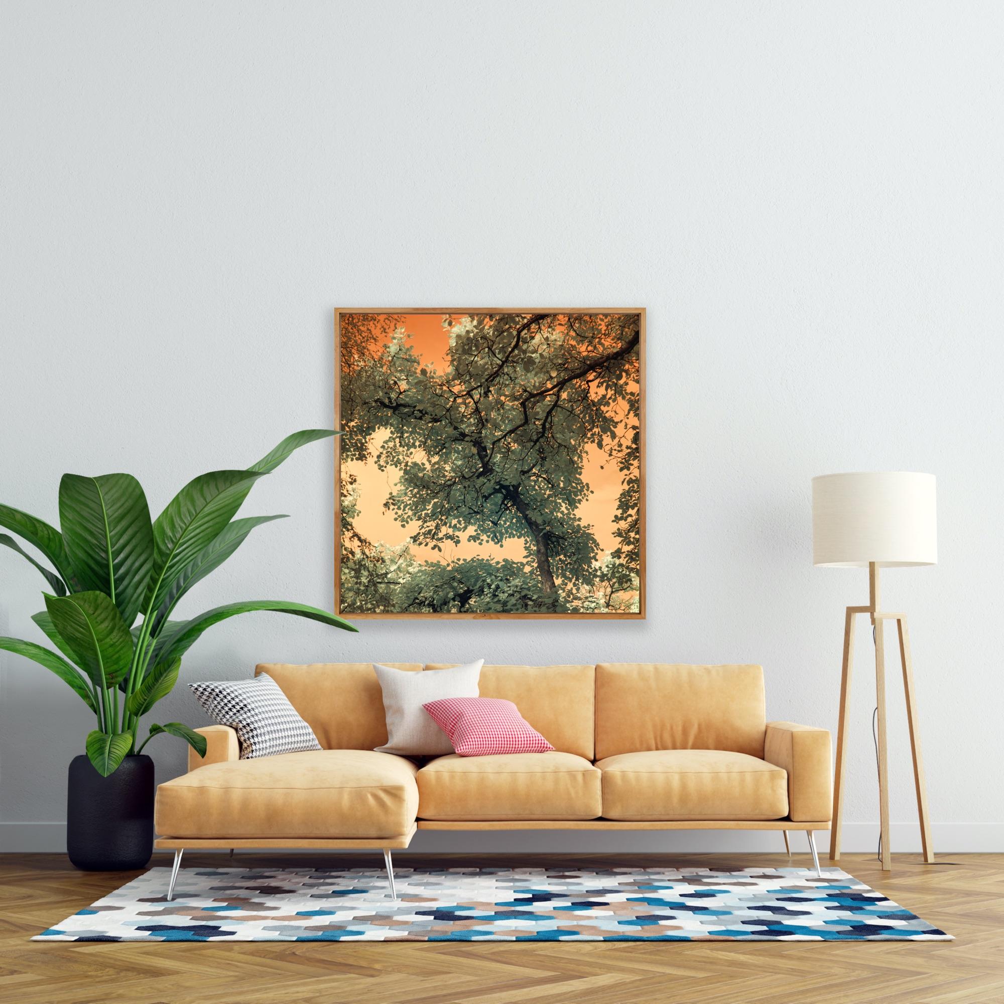 Landscape Tree Nature Wildlife Photograph India Orange Peach Green Sky Leaves - Brown Color Photograph by Aditya Dicky Singh