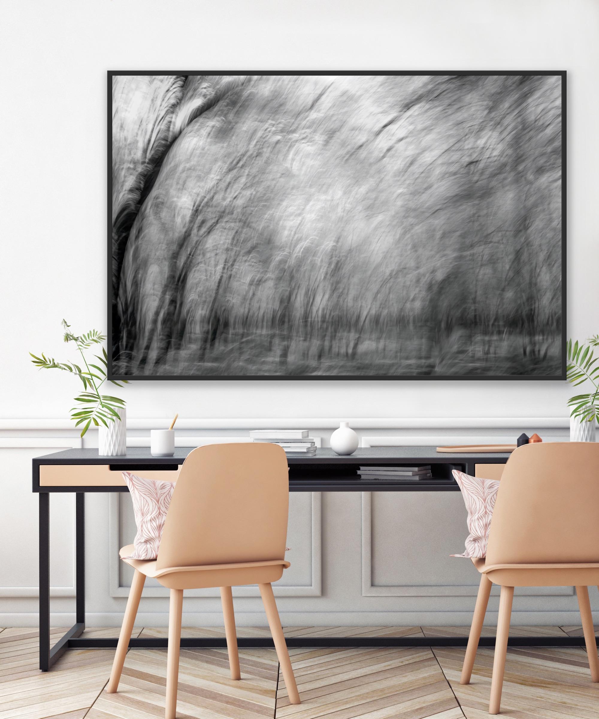 Landscape Photograph  Nature Large Abstract Trees Wildlife India Black White  For Sale 9