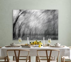 Wildlife Landscape Photograph Nature Large Abstract Trees India Black White