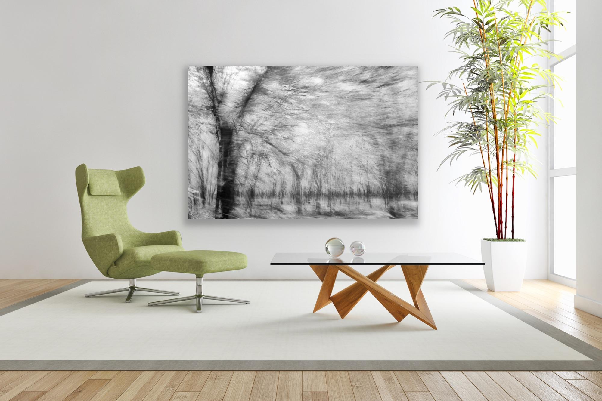  Photographie de paysage Nature Grande abstraction Arbres Vie sauvage Inde Noir Blanc en vente 9