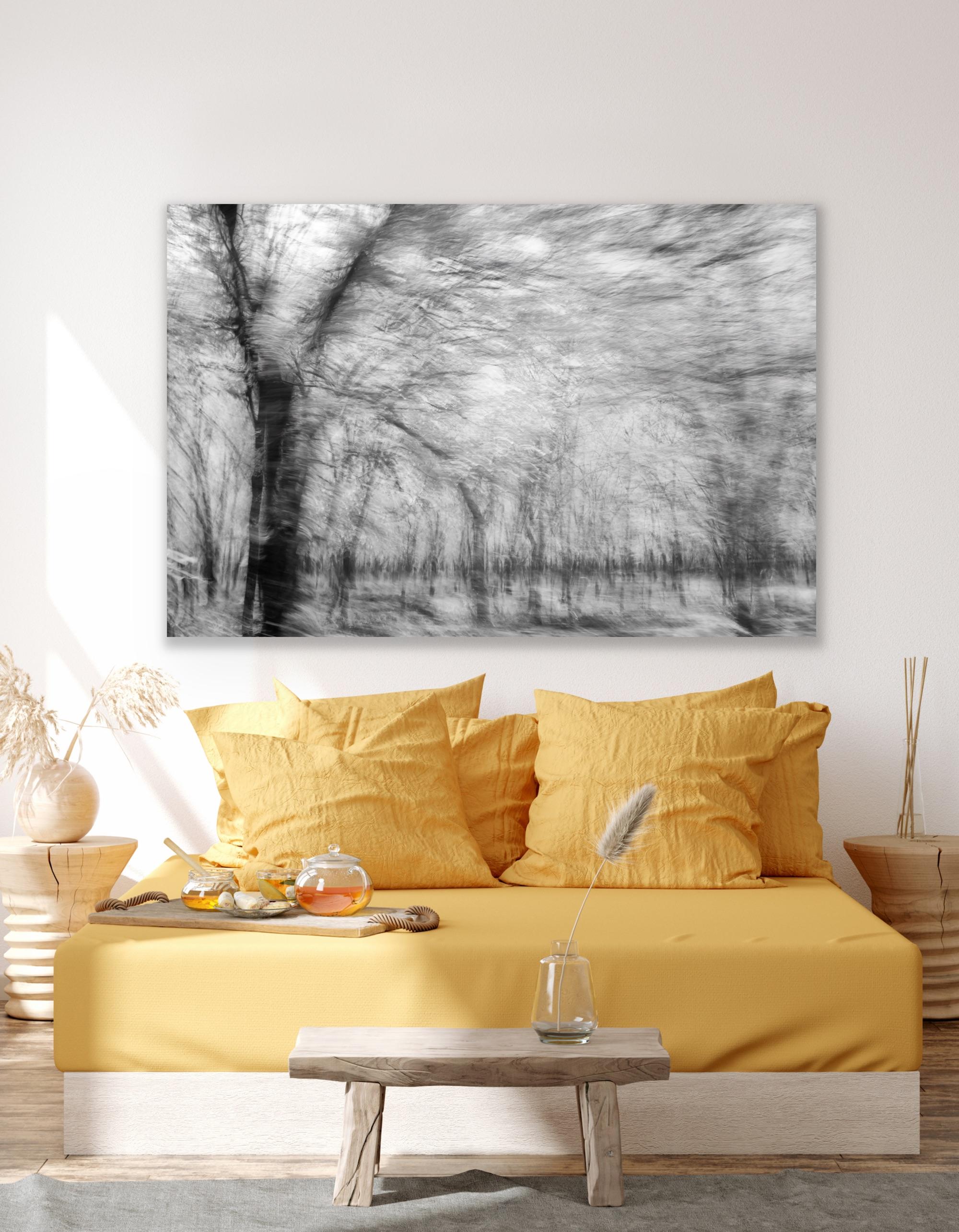  Landscape Photograph Nature Large Abstract Trees Wildlife India Black White For Sale 8