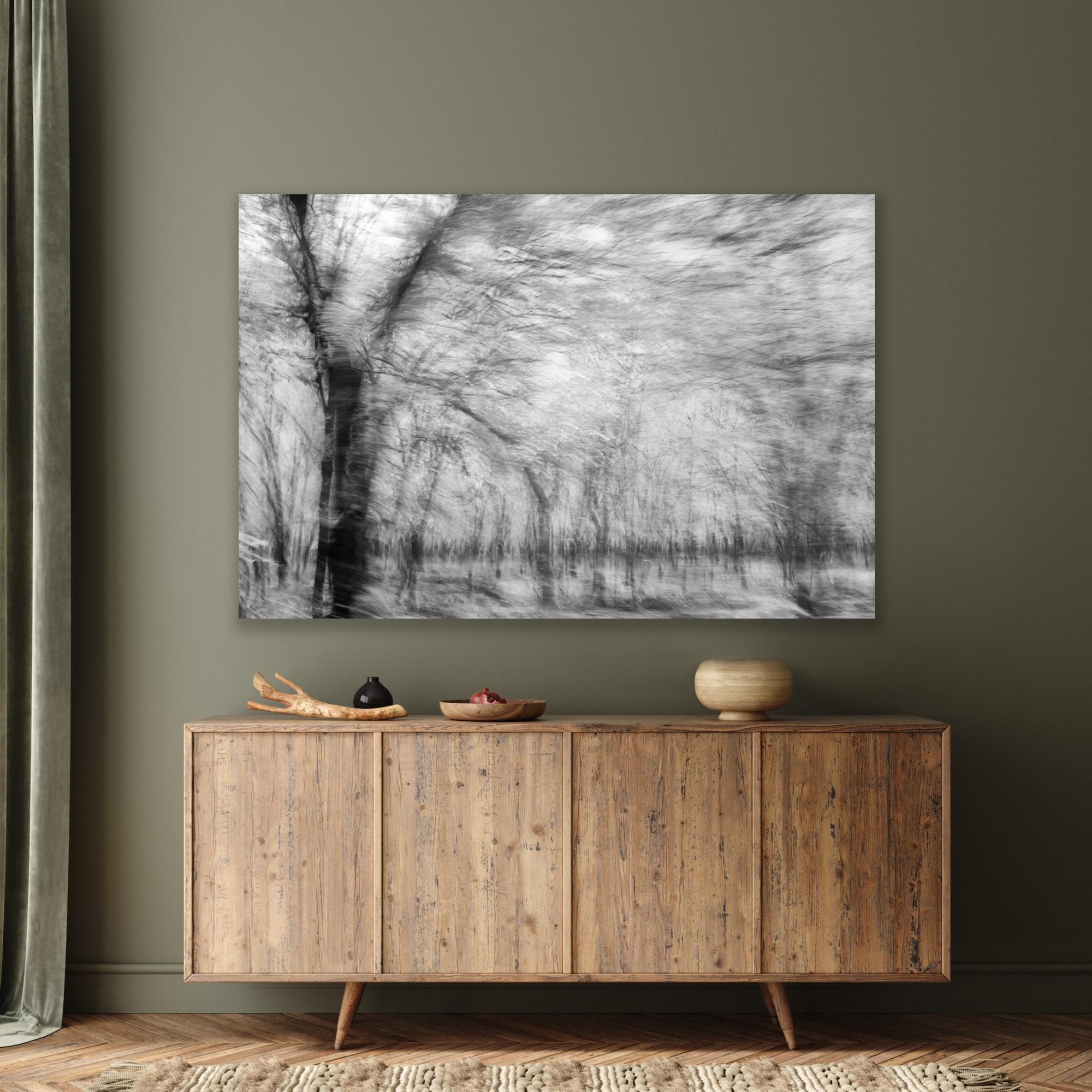  Photographie de paysage Nature Grande abstraction Arbres Vie sauvage Inde Noir Blanc en vente 11
