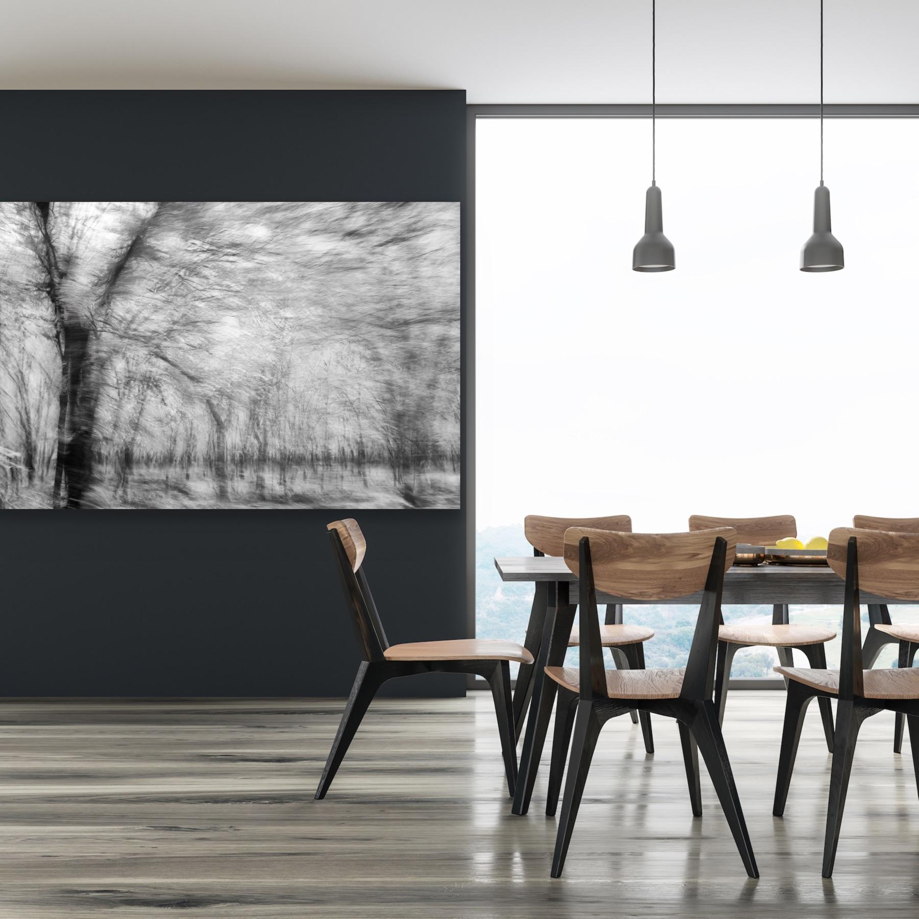  Photographie de paysage Nature Grande abstraction Arbres Vie sauvage Inde Noir Blanc en vente 13