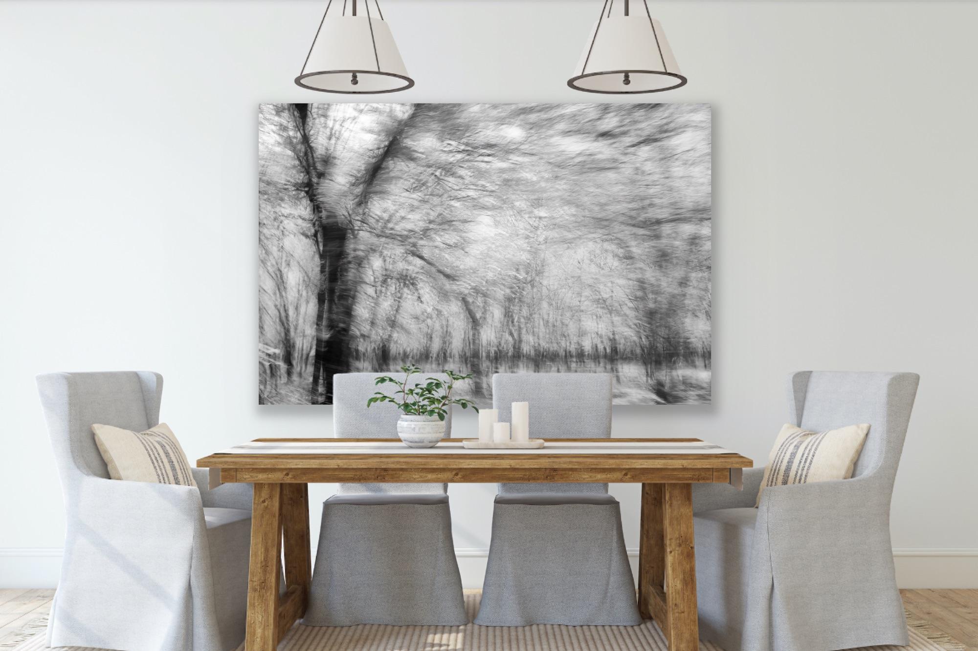  Photographie de paysage Nature Grande abstraction Arbres Vie sauvage Inde Noir Blanc en vente 14