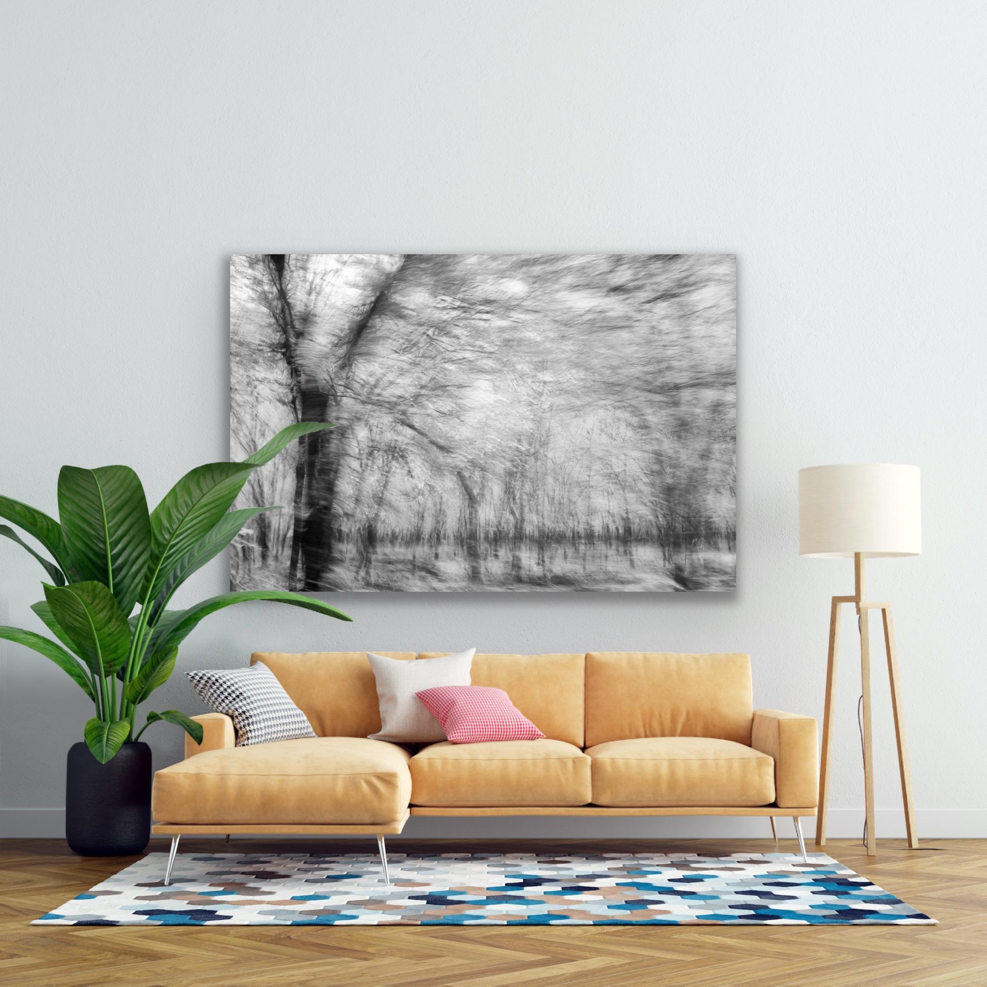  Photographie de paysage Nature Grande abstraction Arbres Vie sauvage Inde Noir Blanc en vente 15