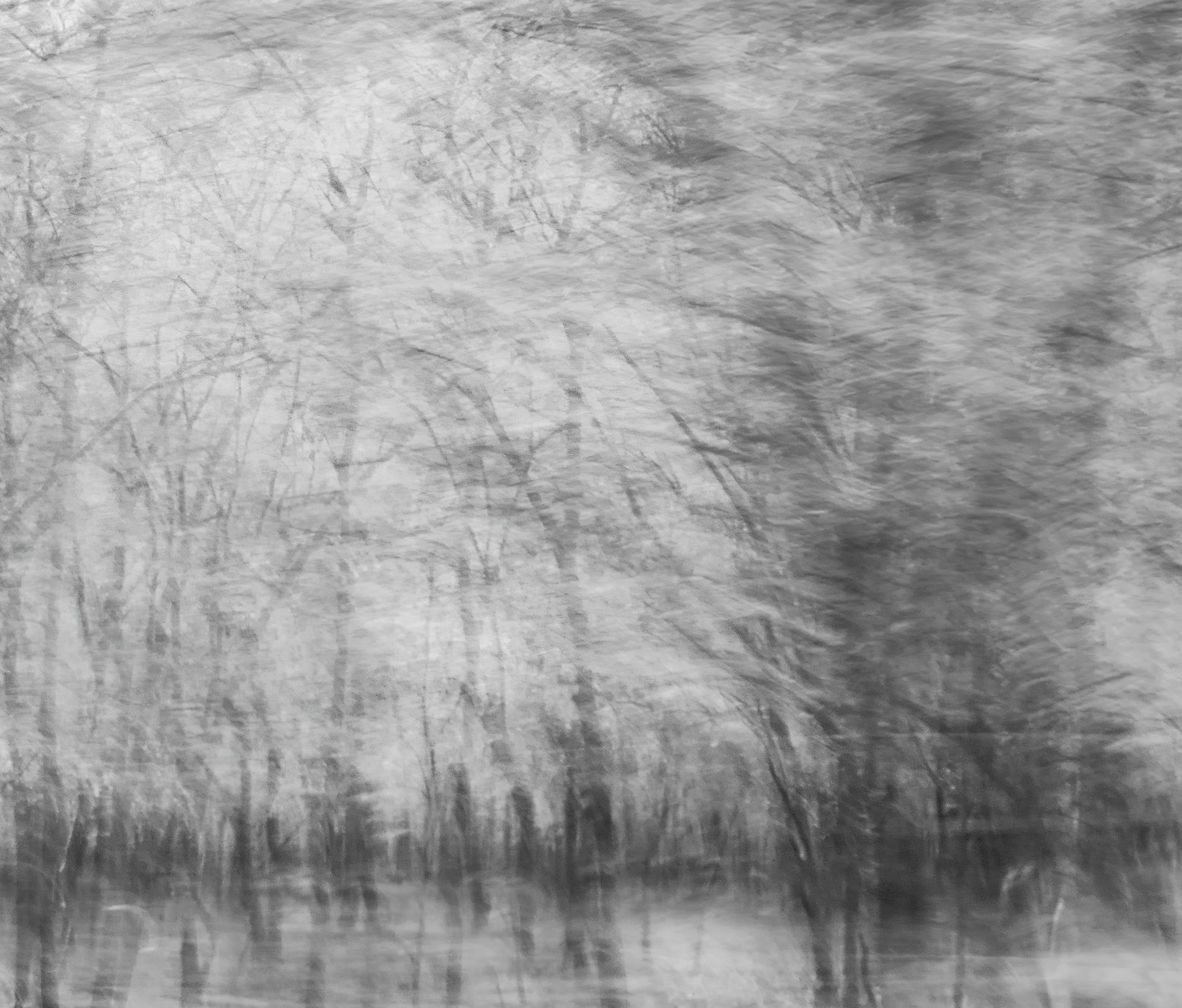  Landscape Photograph Nature Large Abstract Trees Wildlife India Black White - Gray Abstract Photograph by Aditya Dicky Singh