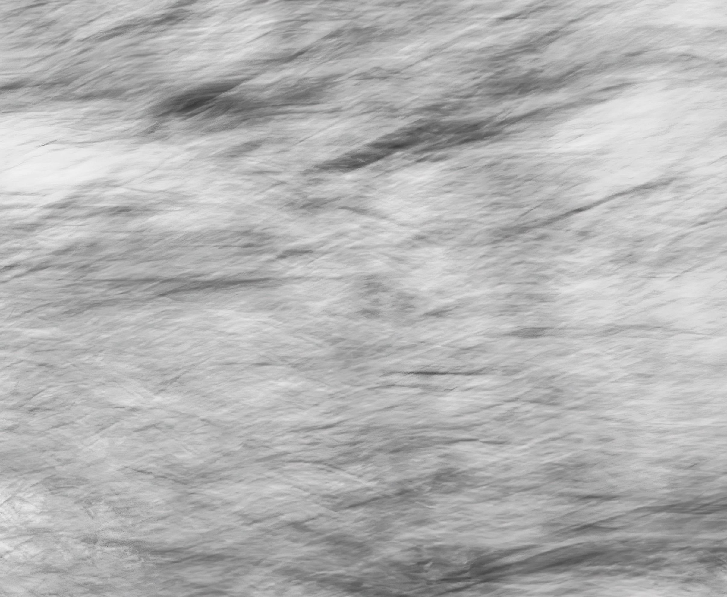 Landschaftsfotografie Natur Groß Abstrakt Bäume Wildnis Indien Schwarz Weiß im Angebot 1