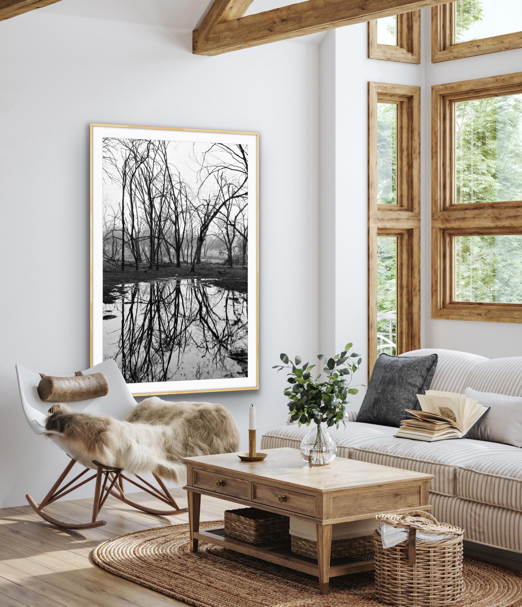 Grande Paesaggio in bianco e nero Foresta Indiana Lago Riflesso Edizione da Collezione in vendita 6