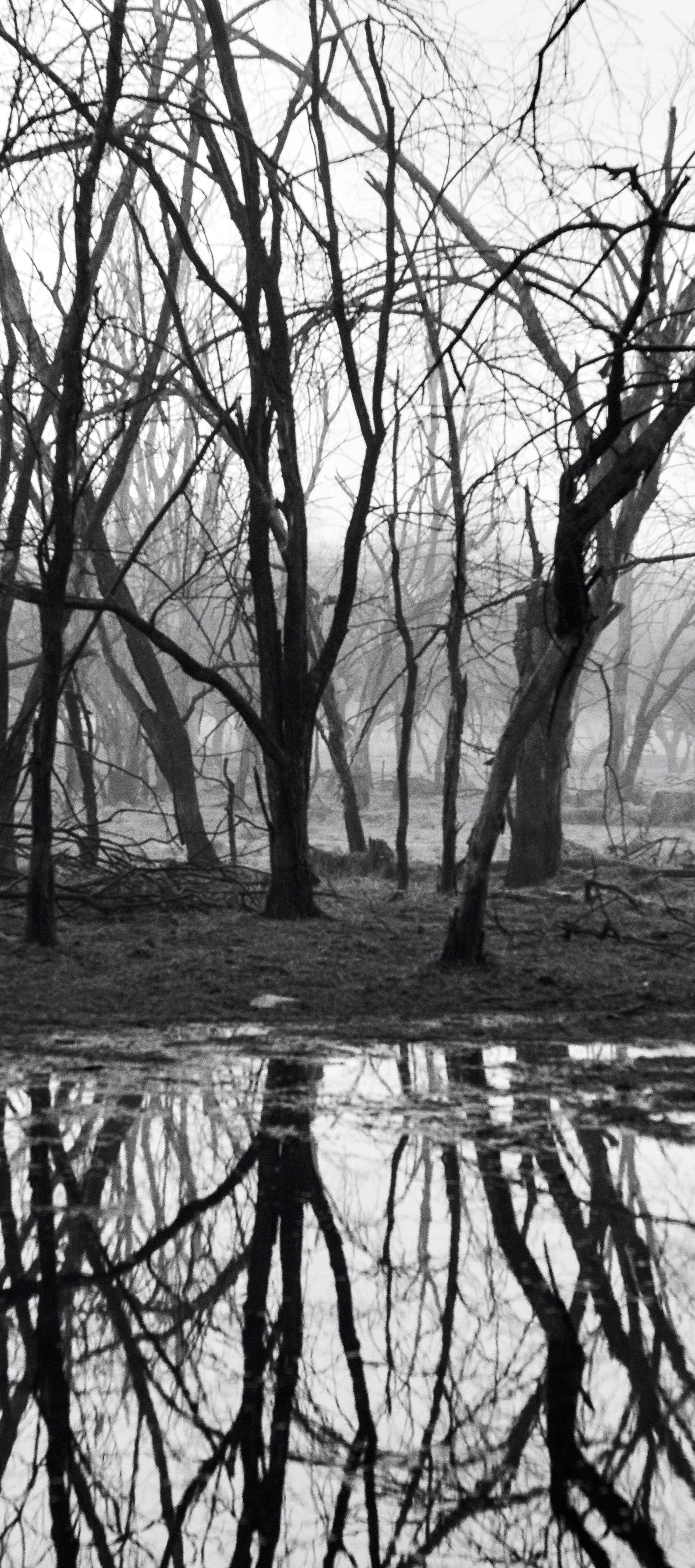Grande Paesaggio in bianco e nero Foresta Indiana Lago Riflesso Edizione da Collezione - Photograph di Aditya Dicky Singh