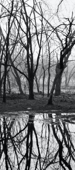 Grande Paesaggio in bianco e nero Foresta Indiana Lago Riflesso Edizione da Collezione