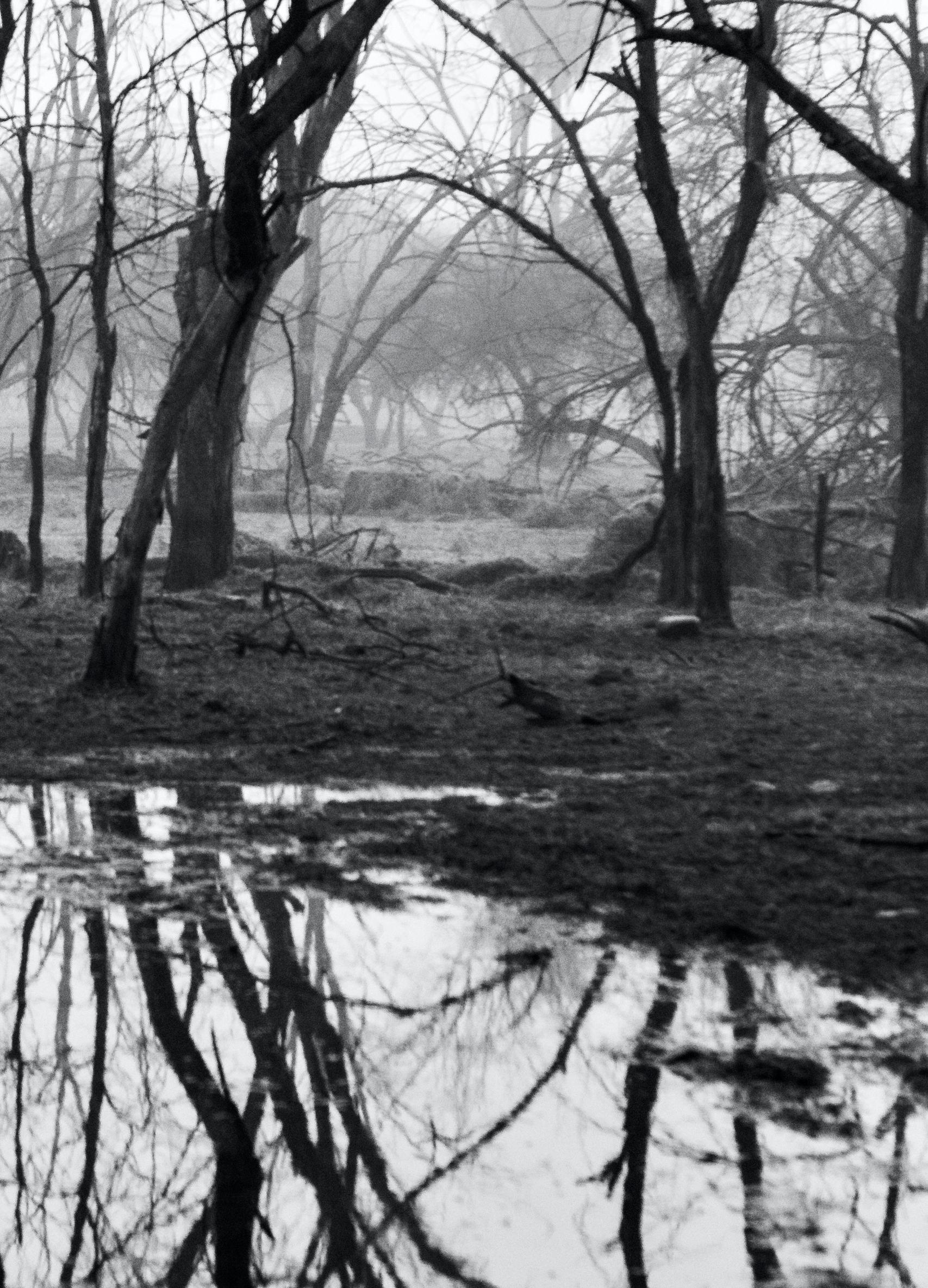 Aditya Dicky Singh  Senza titolo  Fotografia su carta d'archivio fine-art Hahnemuhle  
65