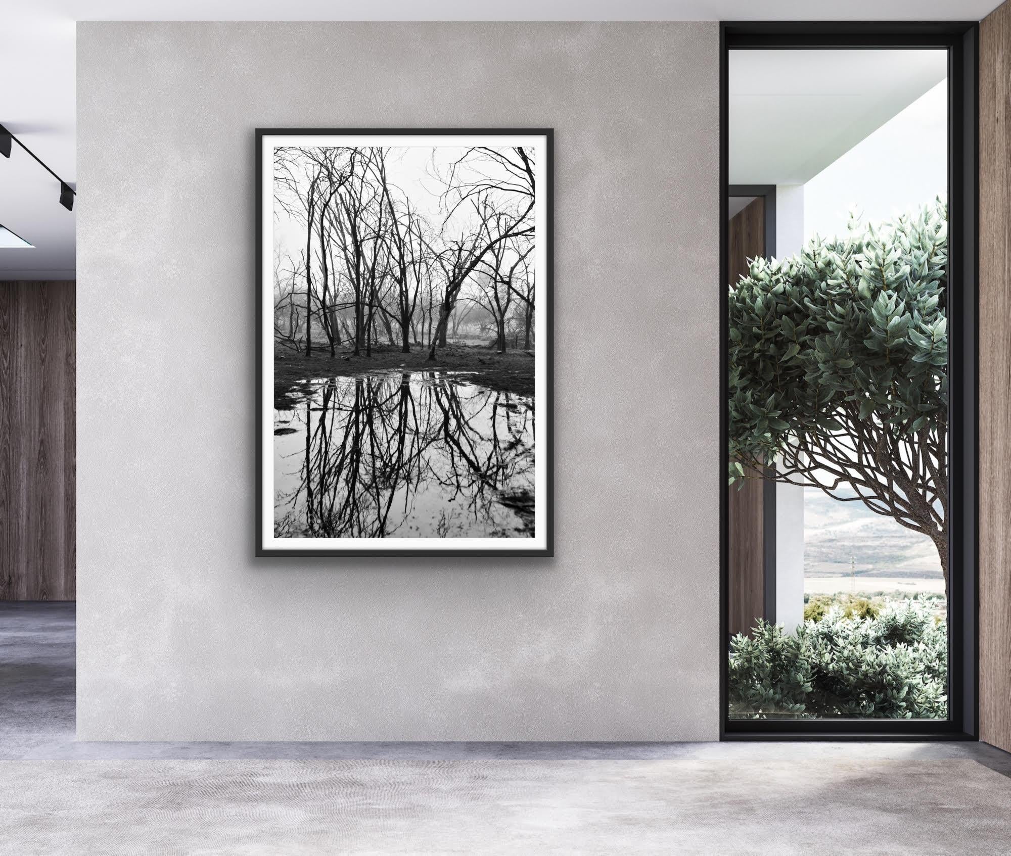 Grande Paesaggio in bianco e nero Foresta Indiana Lago Riflesso Edizione da Collezione in vendita 4