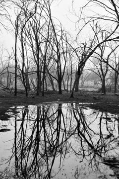 Large Landscape Black and White Indian Forest Reflection Lake Collector Edition