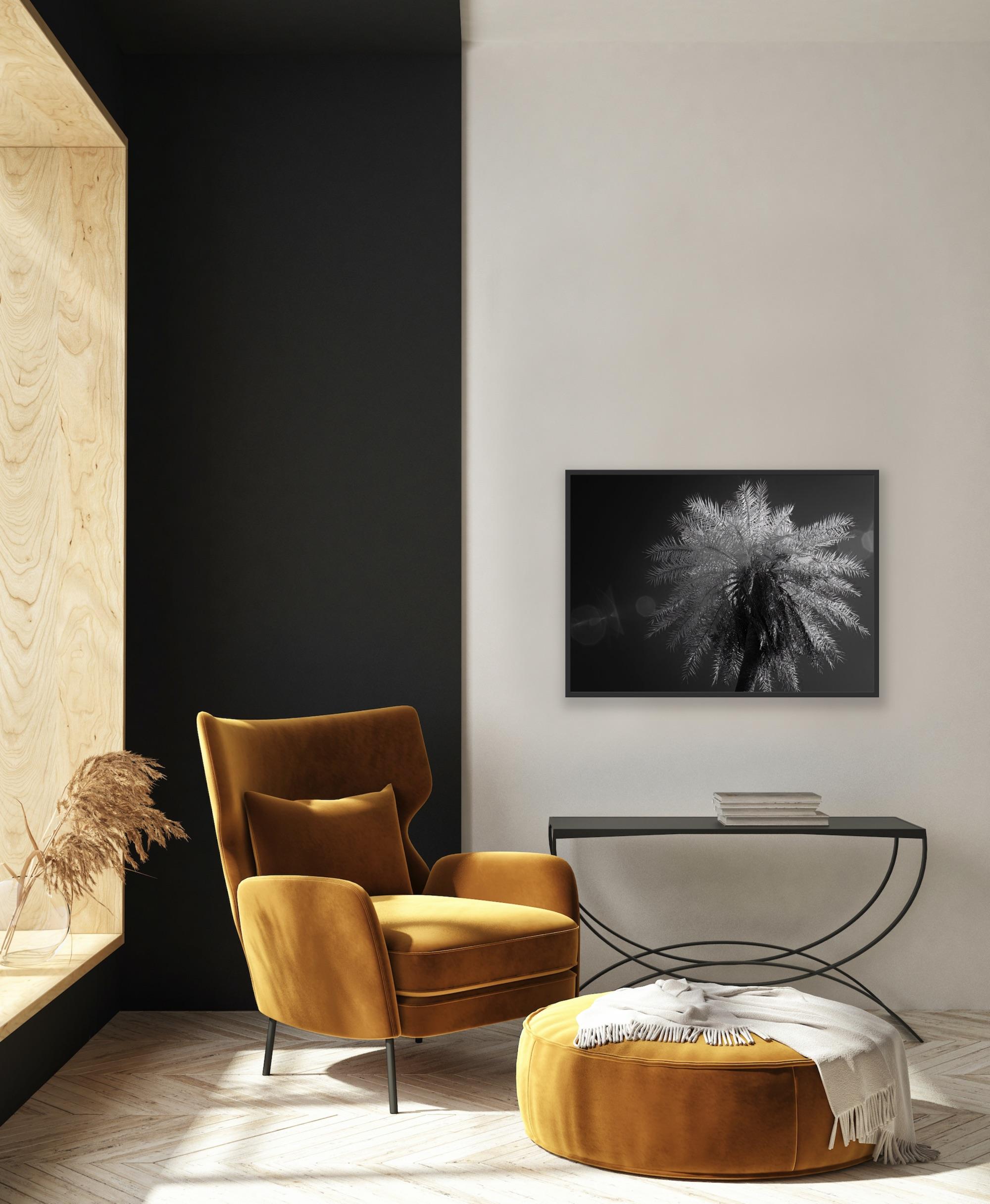 Große Nature Wildlife  Landschaftsfotografie Indien Palme Infrared Schwarz-Weiß im Angebot 11