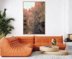 Große Landschaft Nature Wildlife Photograph Indien Teich Bäume Pfirsich Blau Ätherisch