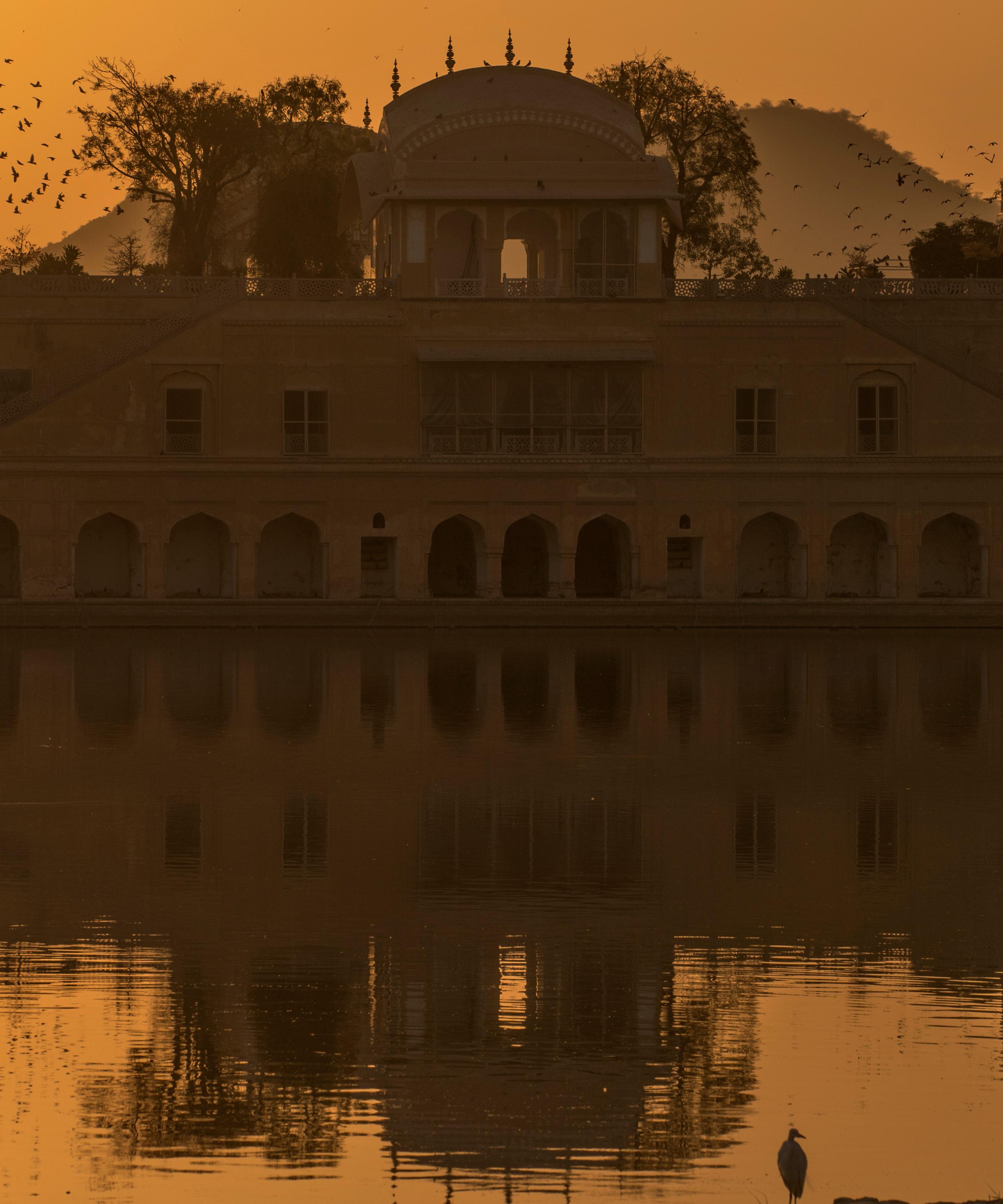 Grand paysage Inde Patrimoine Lac Nature Faune Oiseaux Coucher de soleil Orange - Noir Animal Print par Aditya Dicky Singh