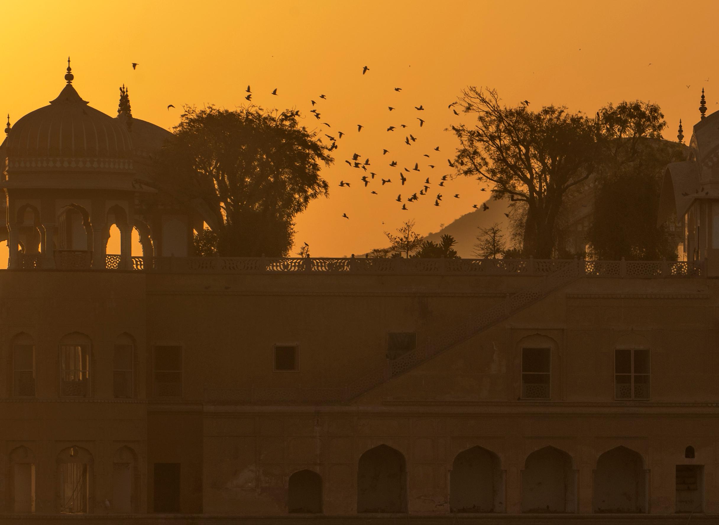 Aditya Dicky Singh,  Sans titre, photographie sur papier d'art archivistique Hahnemuhle  
42