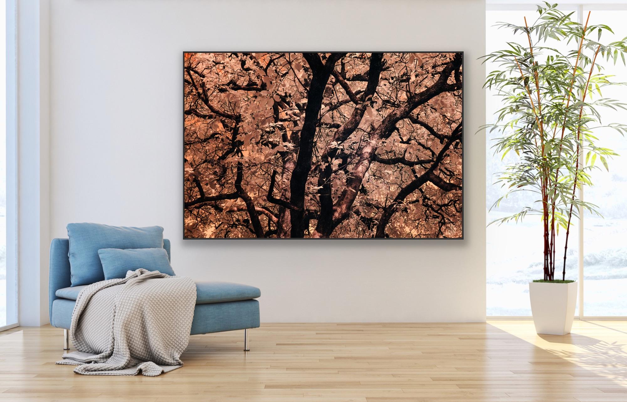Grande photographie de paysage, arbres de la nature aux tons terreux, orange pêche, Inde en vente 8