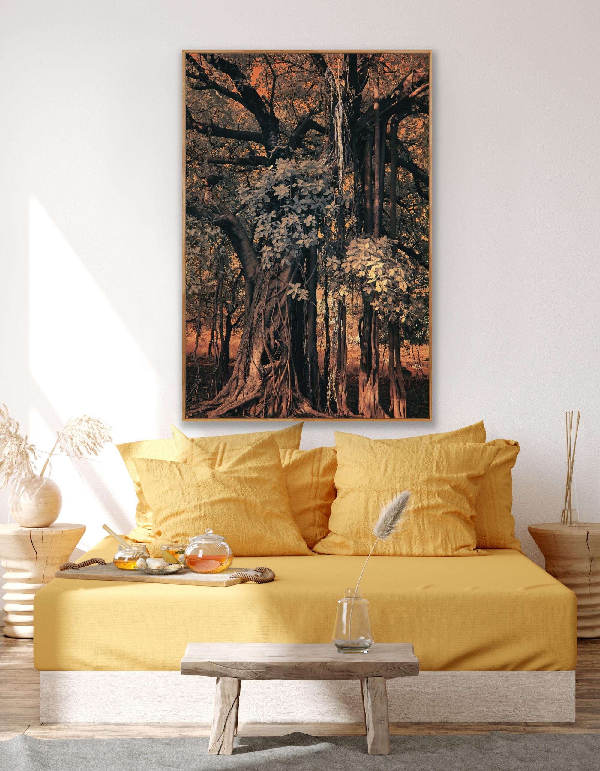 Large Landscape Nature Wildlife Photograph India Banyan Tree Orange Brown Forest For Sale 8