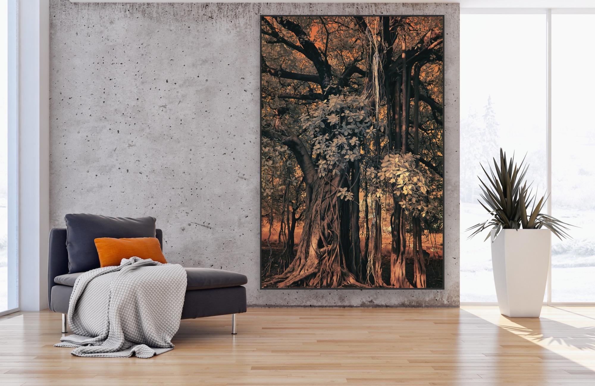 Large Landscape Nature Wildlife Photograph India Banyan Tree Orange Brown Forest For Sale 13