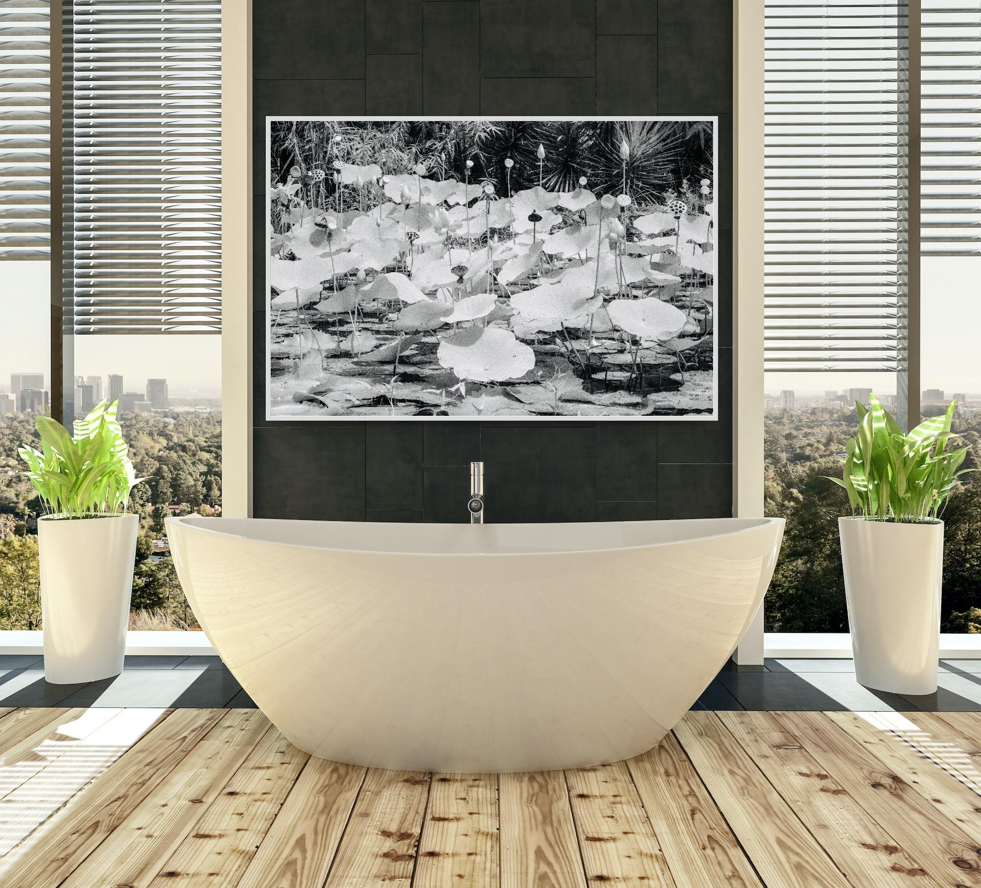 Large  Paysage Nature Wildlife Photographie Nature Lotus Pond Black White India en vente 10