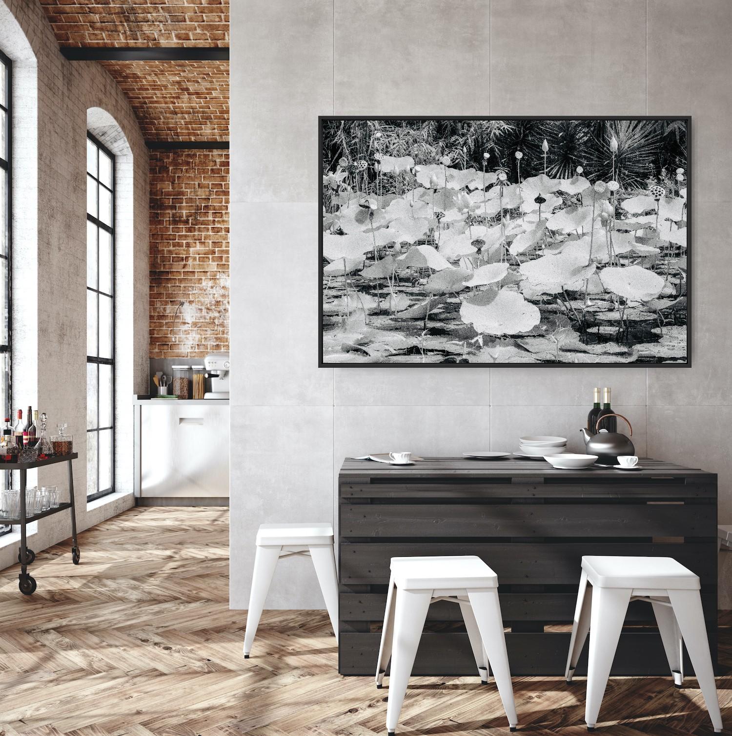 Large  Paysage Nature Wildlife Photographie Nature Lotus Pond Black White India en vente 11