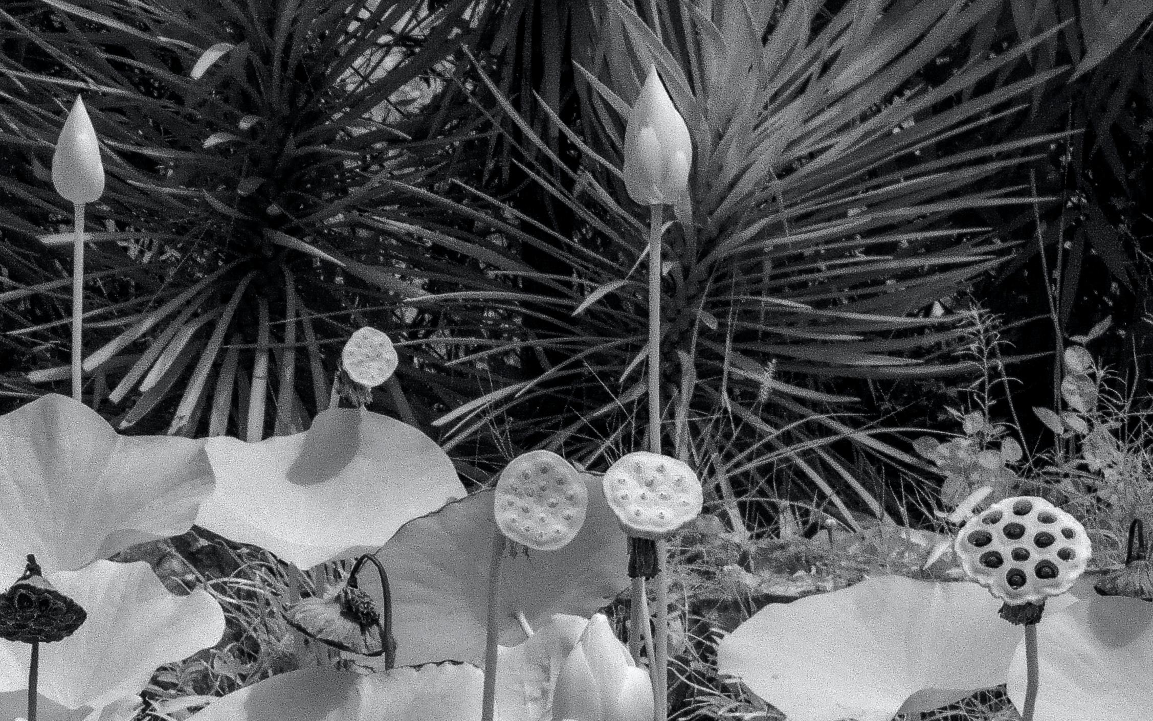 Aditya Dicky Singh  Sans titre   photographie sur papier d'art archivistique Hahnemuhle  
44