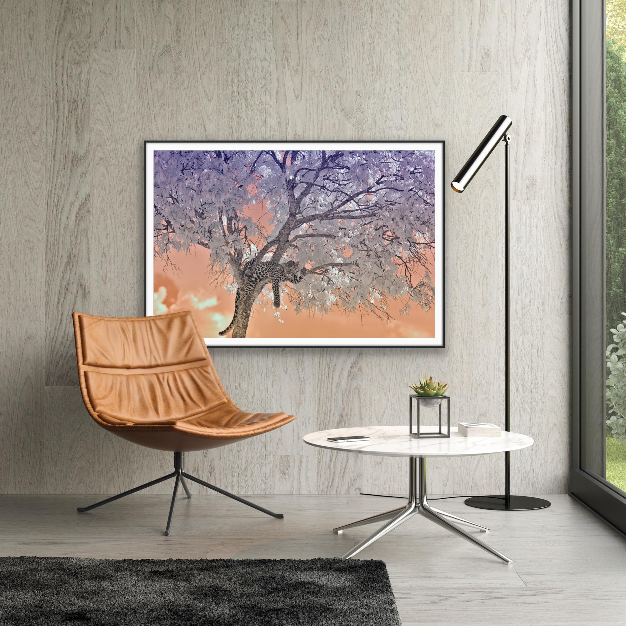 Large Landscape Nature Wildlife Tree Africa Forest Big Cat Leopard Lilac Peach  For Sale 5