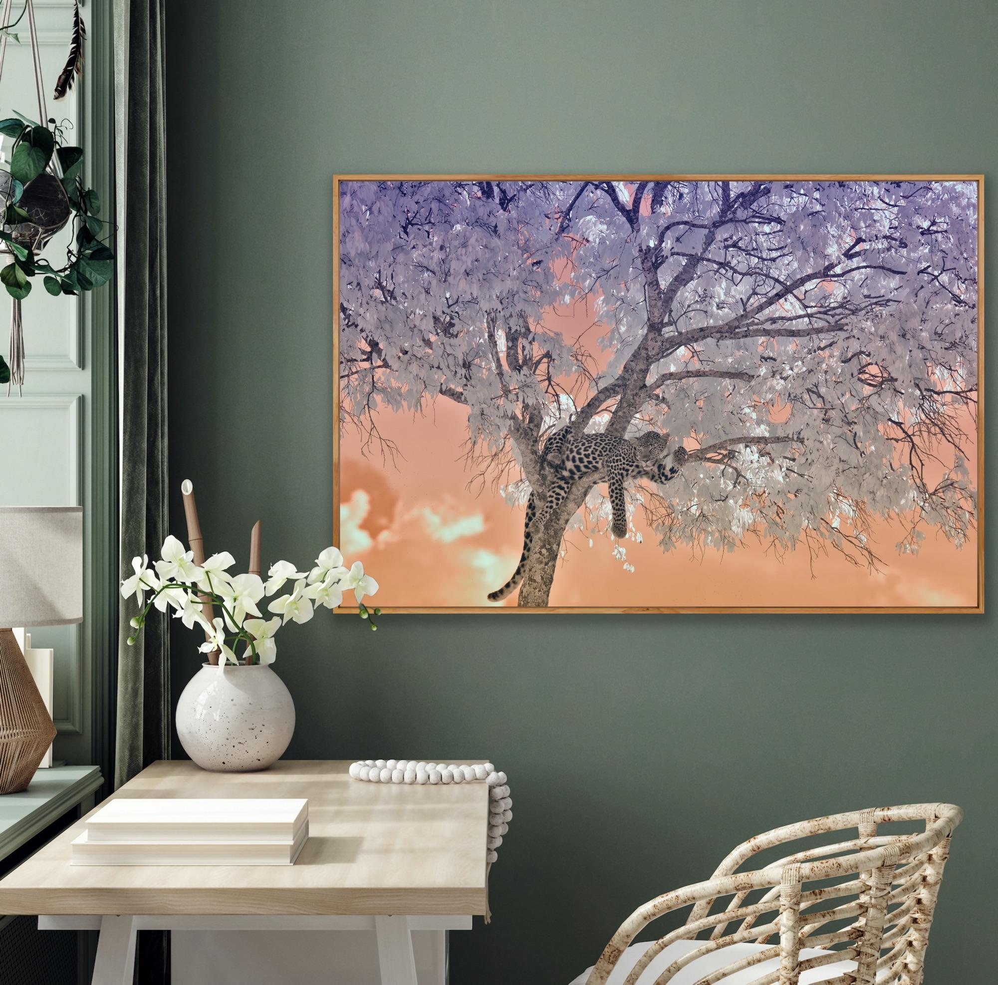 Large Landscape Nature Wildlife Tree Africa Forest Big Cat Leopard Lilac Peach  For Sale 6