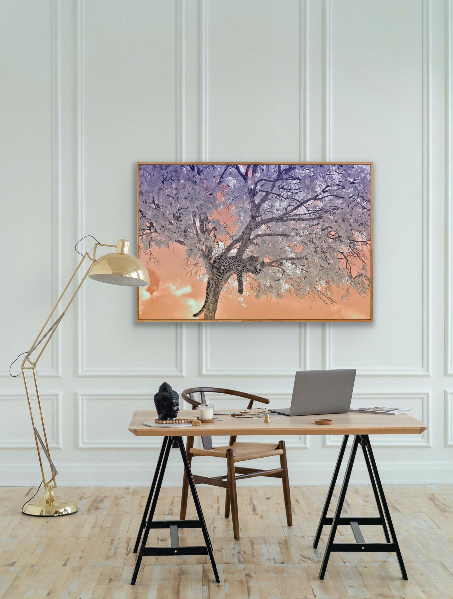 Large Landscape Nature Wildlife Tree Africa Forest Big Cat Leopard Lilac Peach  For Sale 7