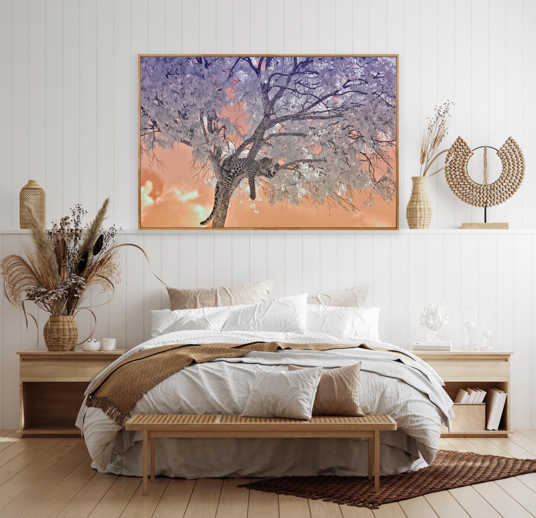 Large Landscape Nature Wildlife Tree Africa Forest Big Cat Leopard Lilac Peach  For Sale 9