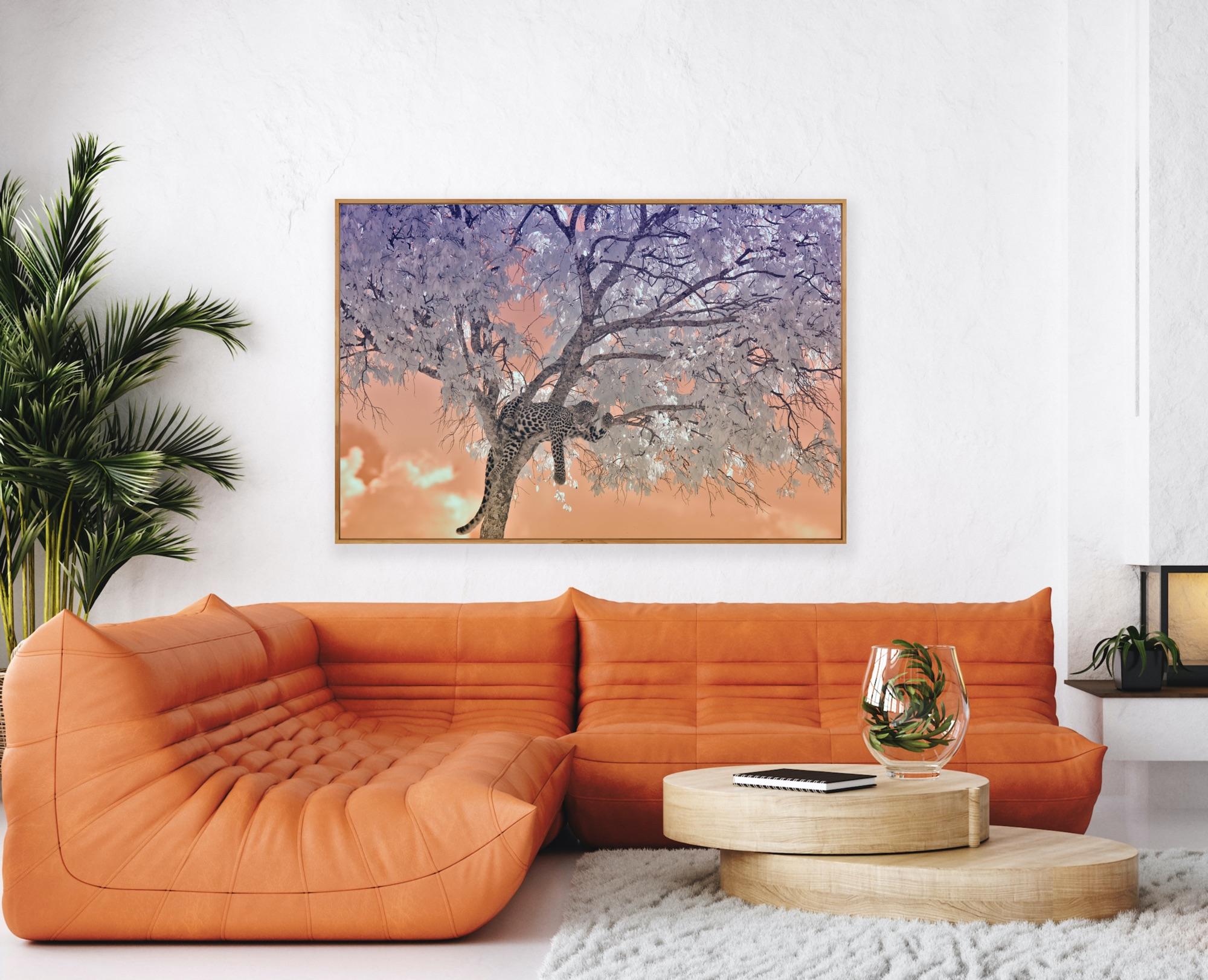 Large Landscape Nature Wildlife Tree Africa Forest Big Cat Leopard Lilac Peach  For Sale 11