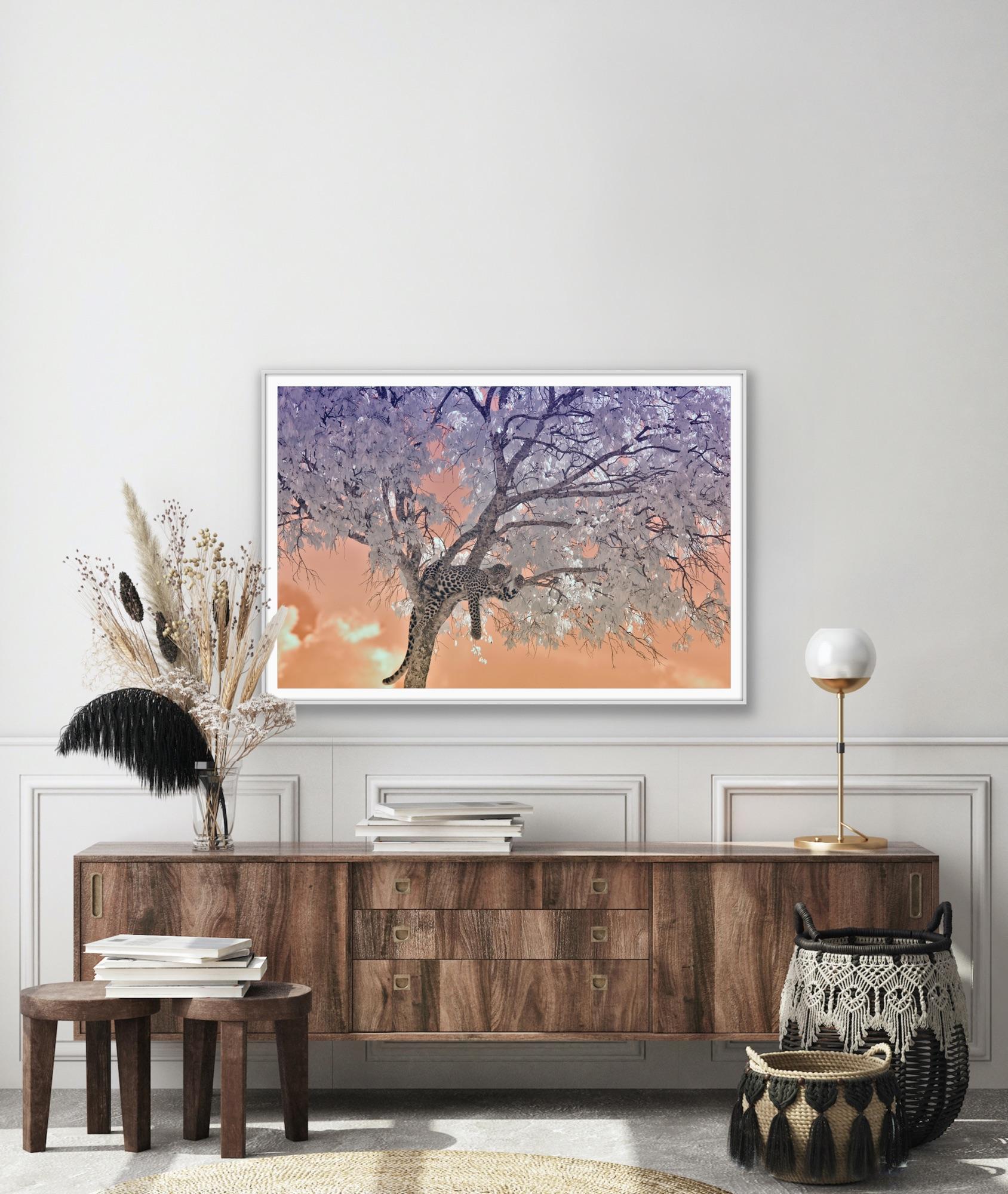 Large Landscape Nature Wildlife Tree Africa Forest Big Cat Leopard Lilac Peach  For Sale 12