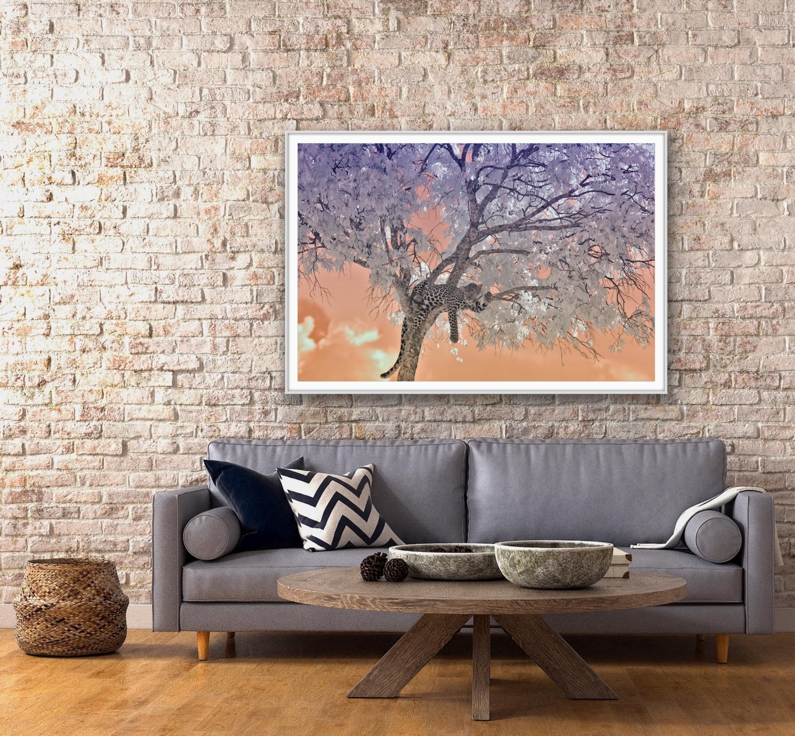 Large Landscape Nature Wildlife Tree Africa Forest Big Cat Leopard Lilac Peach  For Sale 4