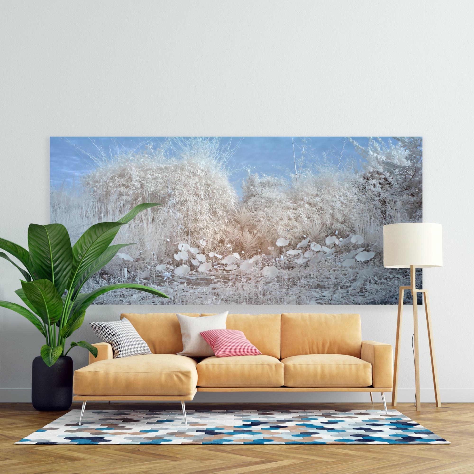 Grand paysage éthéré Nature Wildlife Photographie India White Blue Lotus Pond en vente 9