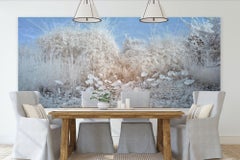 Large Landscape Ethereal Nature Wildlife Photograph India White Blue Lotus Pond