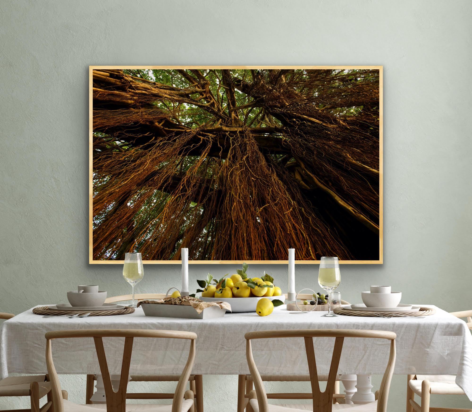 Grande photographie de paysage Banyan arbre de l'Inde Nature Wildlife Forest Green Brown en vente 4