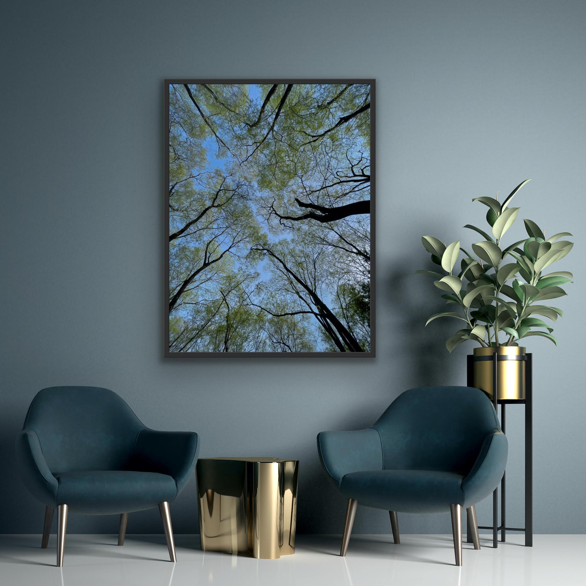 Große Landschaftsfotografie Nature Trees Wildlife Wald Blauer Himmel Indien im Angebot 3