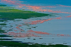 Grande photographie de paysage Nature Faune et flore Oiseaux Flamants roses Lac bleu Inde