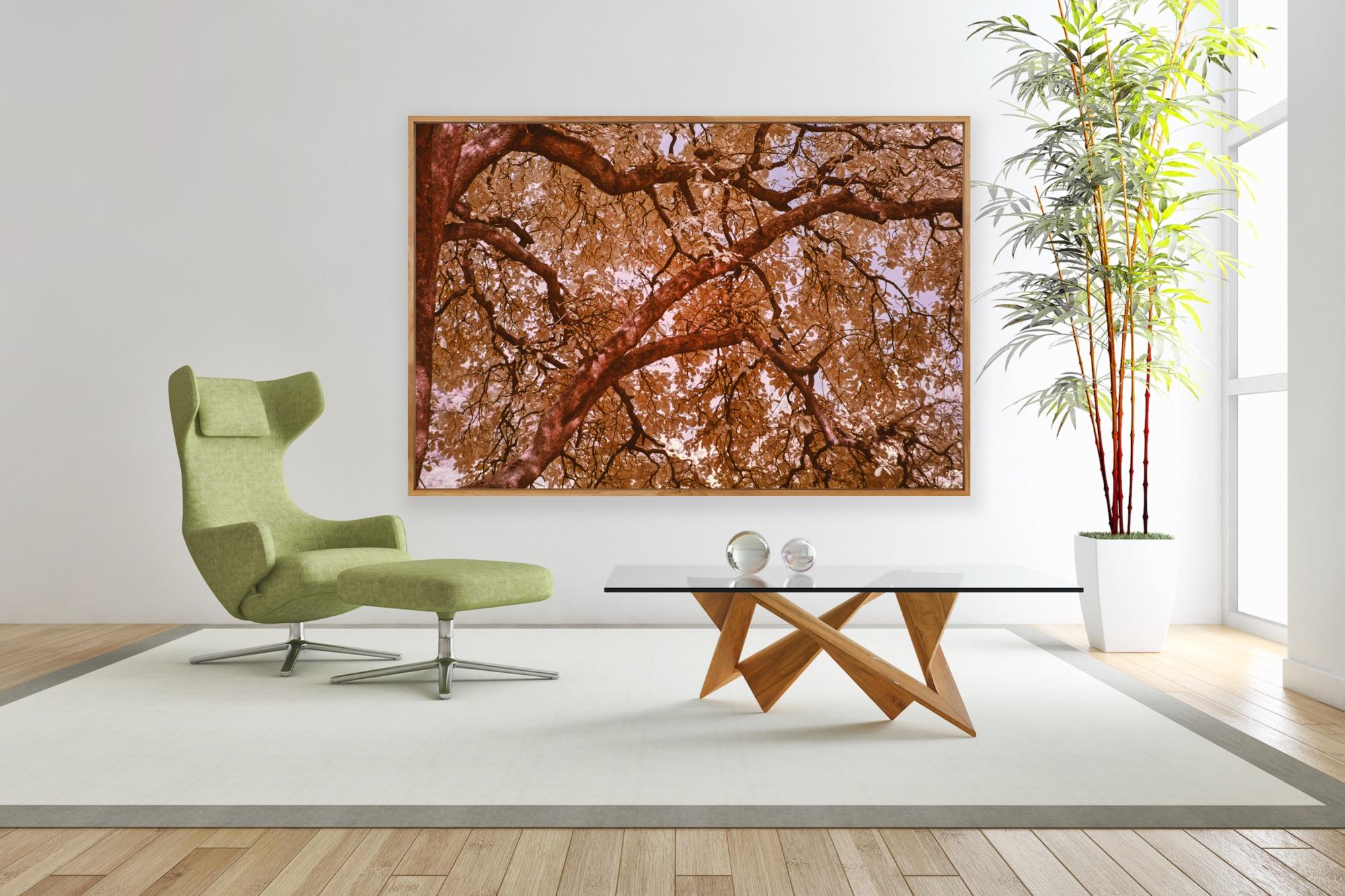 Grandi fotografie di paesaggio Alberi Nature Wildlife Arancione Blu Foresta India - Photograph di Aditya Dicky Singh