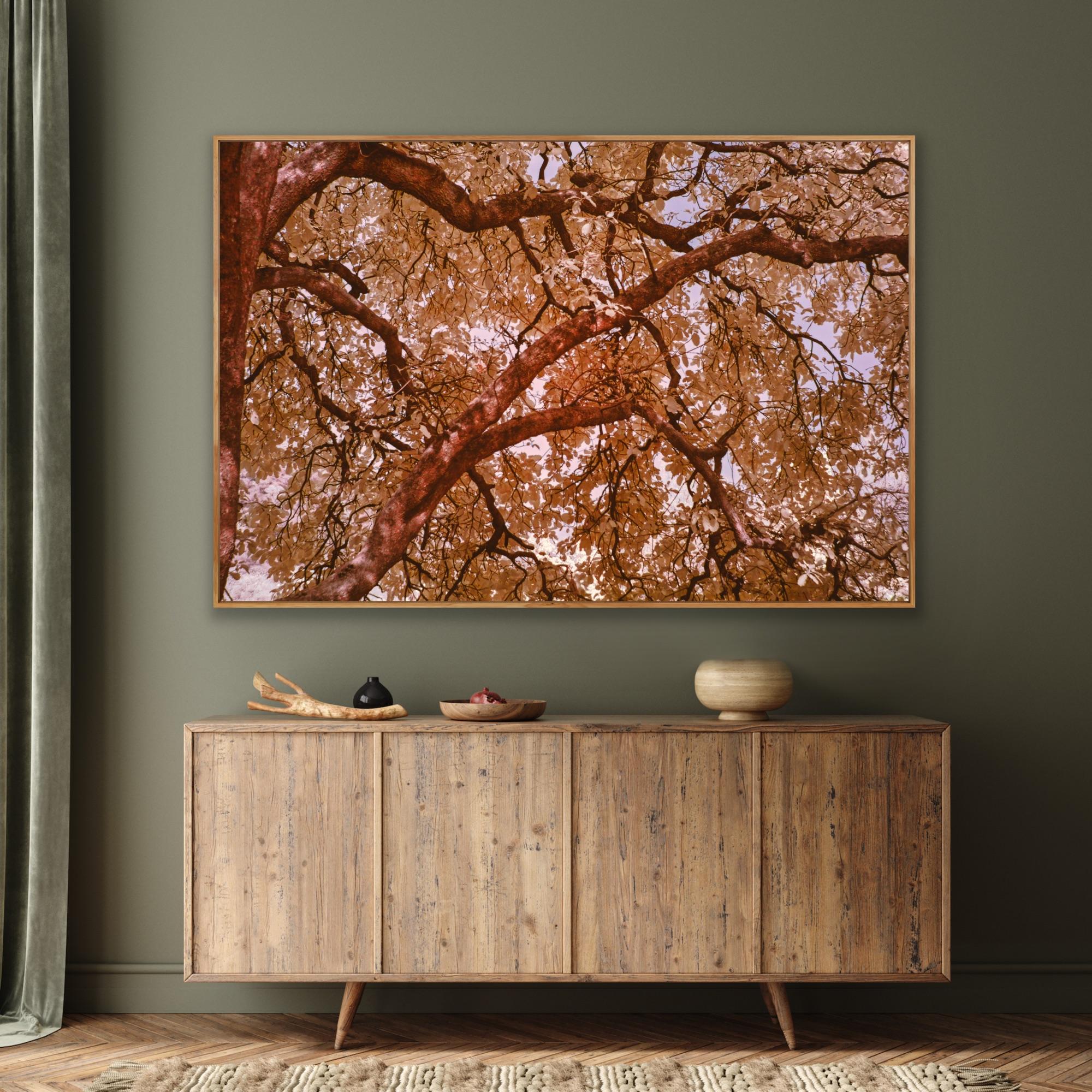 Grandi fotografie di paesaggio Alberi Nature Wildlife Arancione Blu Foresta India in vendita 1