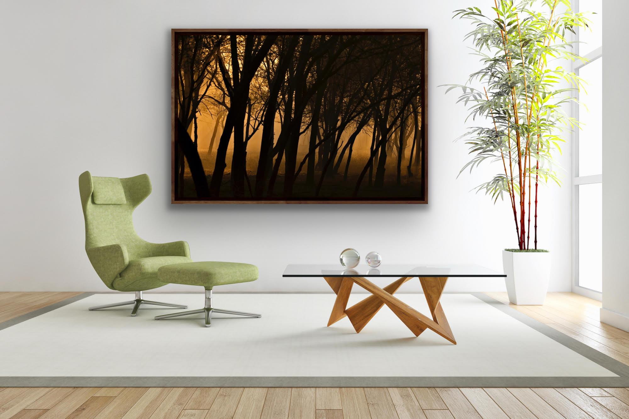 Gran Paisaje Puesta de Sol Árboles Naturaleza Vida Salvaje India Bosque Dhonk Árboles Naranja en venta 2
