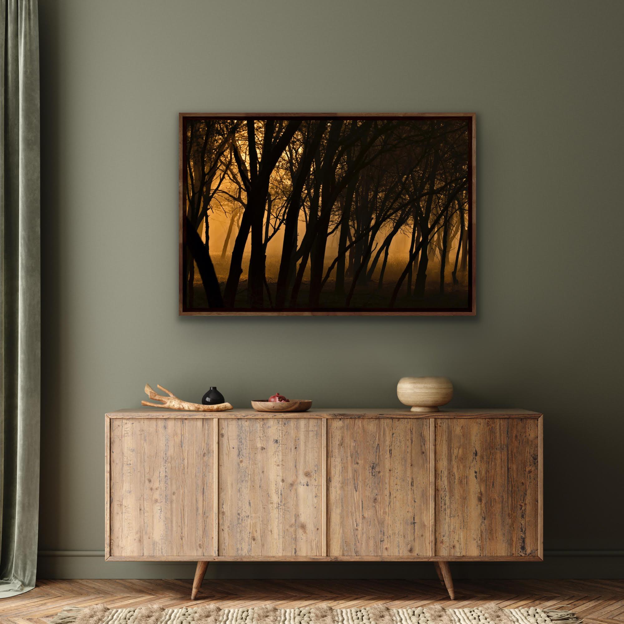 Gran Paisaje Puesta de Sol Árboles Naturaleza Vida Salvaje India Bosque Dhonk Árboles Naranja en venta 4