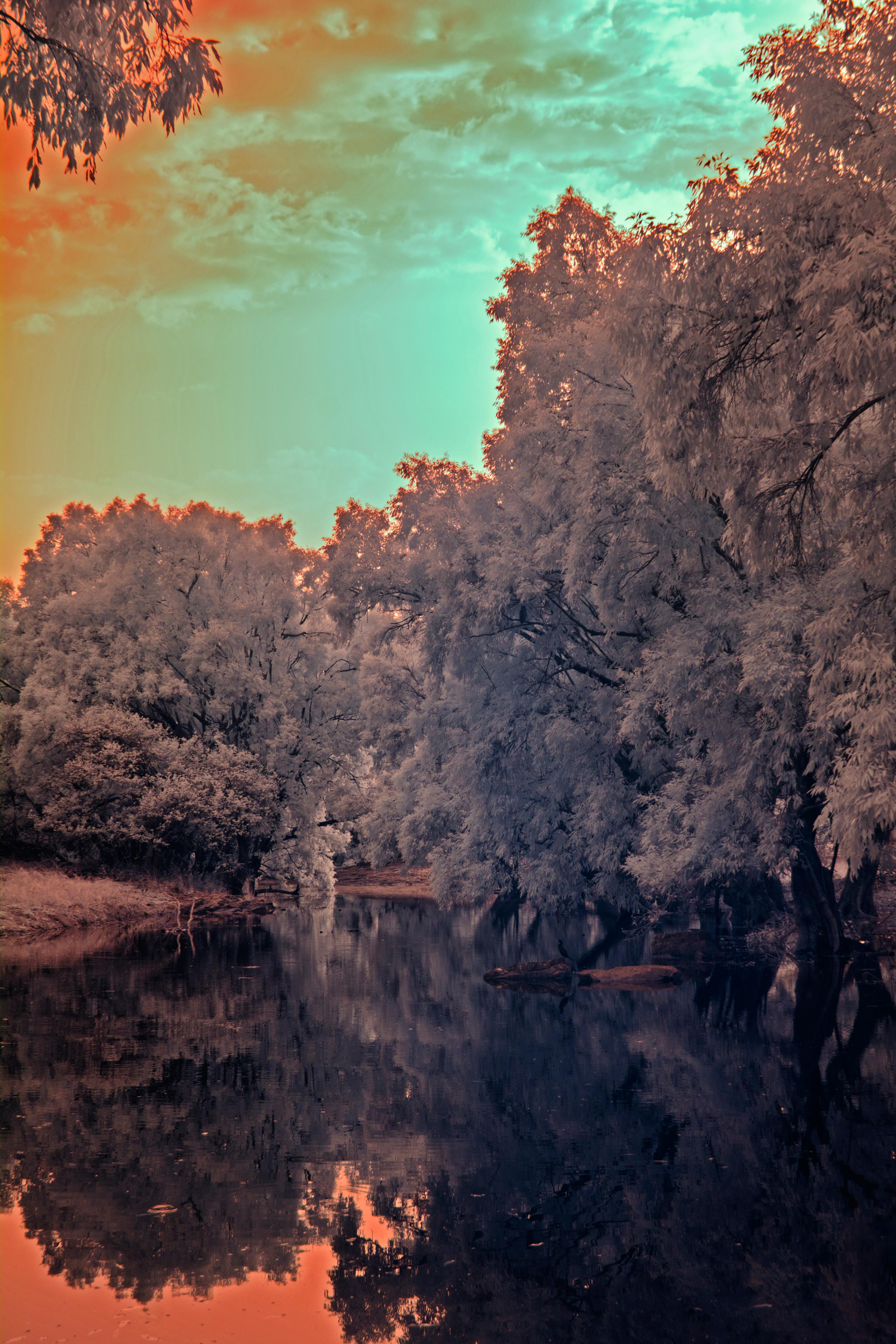 Color Photograph di Aditya Dicky Singh - Grande paesaggio vintage foresta natura lago albero blu arance fauna indiana