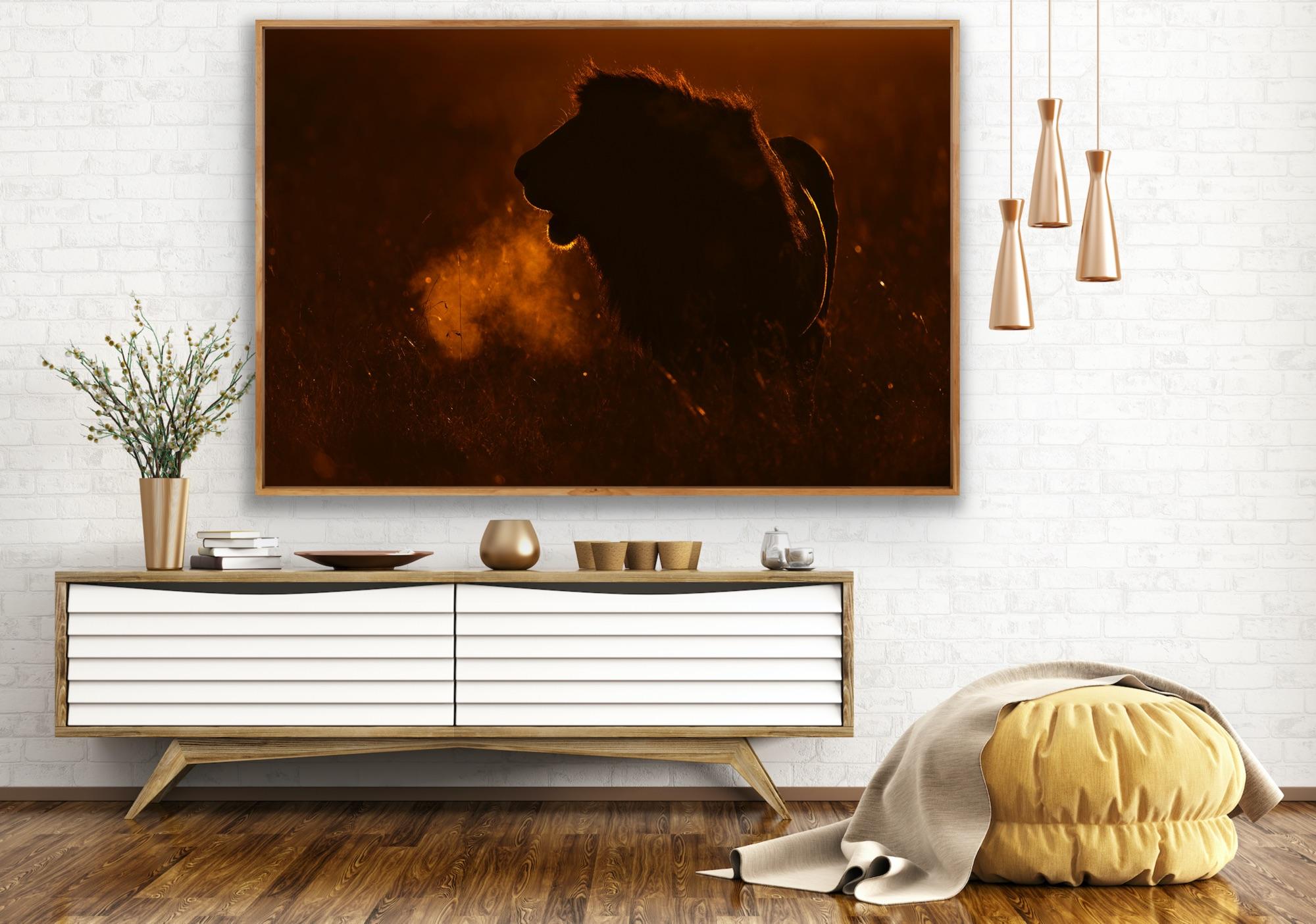 Landscape Photography Nature Animal Large African Lion Wildlife Orange Sunset  en vente 12